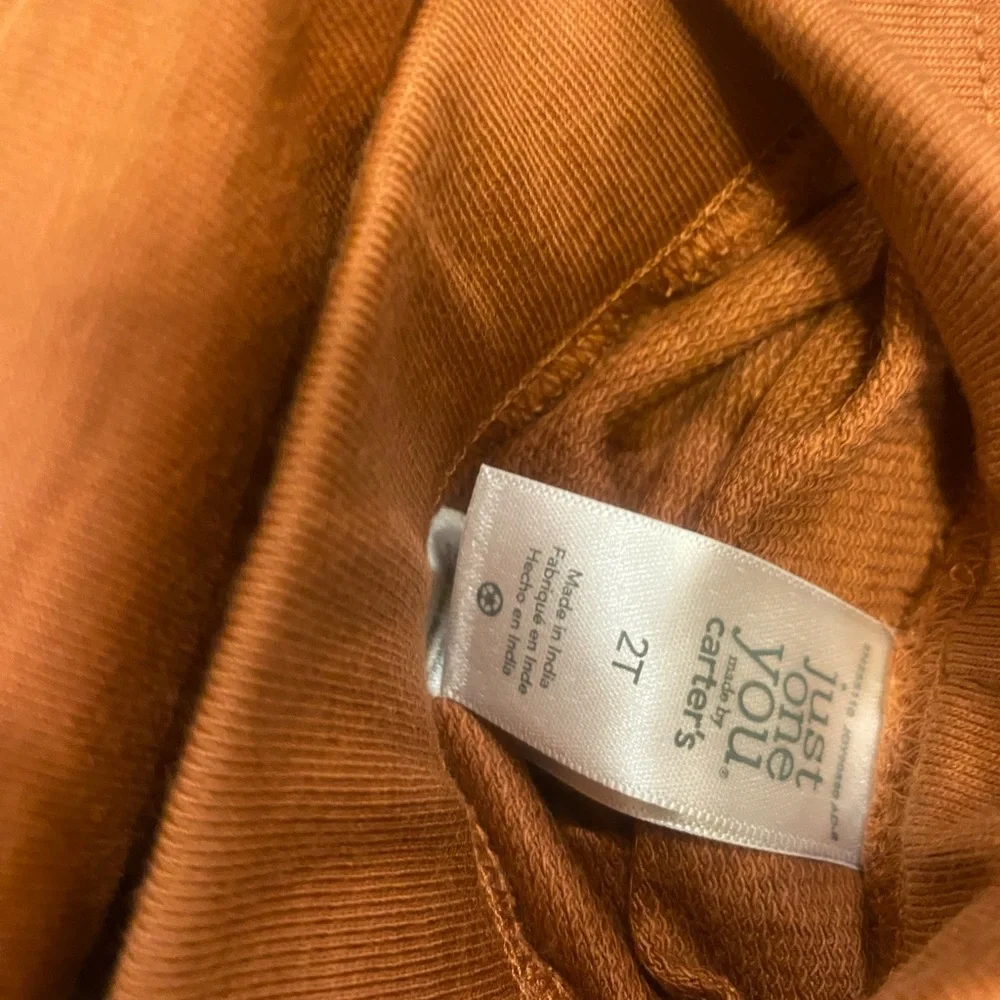Carter's Two-Tone Rust and Peach Lion Outfit Set